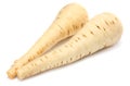 Parsnip isolated on the white background close up Royalty Free Stock Photo