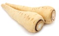 Parsnip isolated on the white background close up Royalty Free Stock Photo