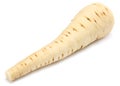 Parsnip isolated on the white background close up Royalty Free Stock Photo