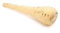 Parsnip isolated on the white background close up Royalty Free Stock Photo