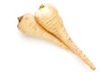 Parsnip isolated on the white background. Royalty Free Stock Photo