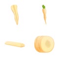 Parsnip root icons set cartoon vector. Fresh organic parsnip Royalty Free Stock Photo