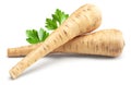 Parsnip root isolated on white background. clipping path