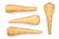 Parsnip root isolated on white background closeup. Top view. Flat lay. Set or collection Royalty Free Stock Photo