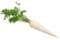 Parsnip root with leaf