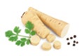 Parsnip root and slices with parsley isolated on white background with clipping path Royalty Free Stock Photo