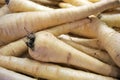 Parsnip root vegetable for sale in the market