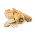 Parsnip Root Vegetable