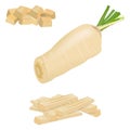 Parsnip set for banners, flyers. Half and diced parsnips. Parsnip cut into strips. Parsnip root. Fresh organic and