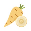 Parsnip vector illustration. Whole and cut vegetable on white background.