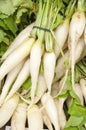 Parsnips