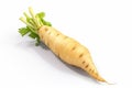 Parsnips photo realistic illustration - Generative AI.