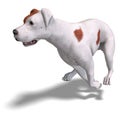 Parson Russel Terrier Dog. 3D rendering with Royalty Free Stock Photo