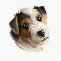 Parson Russell Terrier dog portrait isolated on white. Digital art illustration of hand drawn dog for web, t-shirt print and puppy