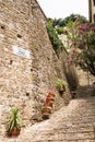 A part of ancient wall and stone stairs decorated with flowers Royalty Free Stock Photo