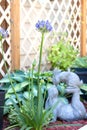 Part of the backyard garden with perennial plants