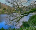 English country house garden at Stourhead Royalty Free Stock Photo