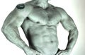 Part of beautiful male torso. Side view Royalty Free Stock Photo