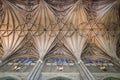 Vaulting ceiling of Canterbury Cathedral in Canterbury, UK Royalty Free Stock Photo
