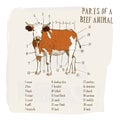Part of beef. Cow in graphic style, hand draw graphic vector. Royalty Free Stock Photo