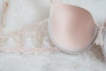 Part beige bodice with lace on white fur. Inner side. Underwear, fashion concept. Close up