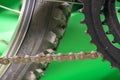 part of bicycle chain, tire and chainset teeth.  green background. Royalty Free Stock Photo