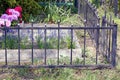 Part of a black  metal decorative fence made of iron bars at the grave Royalty Free Stock Photo