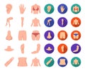 Part of the body, limb cartoon,flat icons in set collection for design. Human anatomy vector symbol stock web Royalty Free Stock Photo