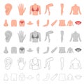 Part of the body, limb cartoon icons in set collection for design. Human anatomy vector symbol stock web illustration. Royalty Free Stock Photo