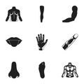 Part of body set icons in black style. Big collection of part of body vector symbol stock illustration Royalty Free Stock Photo