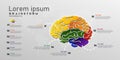 Part of brain infographic vector illustration with colorful topic information, brainstorming and mind education intelligence