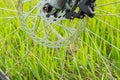 Part of the brake disc of a mountain bike on the background of green grass Royalty Free Stock Photo