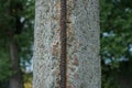 Part of a broken gray old concrete pillar with brown iron rusty rebar