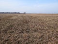 Part of a brown field with dry grass and trees on the horizon with sky