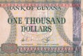 Part of brown Guyana 1000 dollars Banknote fragment Royalty Free Stock Photo