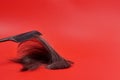 Part of brown hair on a red background along with a black comb. A black comb combs brown hair. a lock of hair cut off in a comb Royalty Free Stock Photo