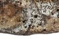 Part of a brown stone