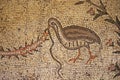 A part of the Byzantine floor mosaic. The Church of Multiplication of loaves and fish in Tabgha, Israel. Pilgrimage