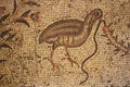 A part of the Byzantine floor mosaic. The Church of Multiplication of loaves and fish in Tabgha, Israel. Pilgrimage