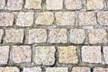 Part of cobblestone pavement Royalty Free Stock Photo