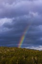 Part of colored rainbow on dark thunder clouds with green forest mountain background. vertical view.