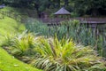 The Gardens at Beech Hill Country House Hotel in Londonderry Royalty Free Stock Photo