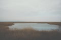 Part of the delta of river Evros, Greece Royalty Free Stock Photo