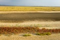 Part of the delta of river Evros, Greece Royalty Free Stock Photo