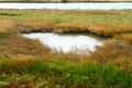 Part of the delta of river Evros, Greece Royalty Free Stock Photo