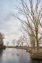 Part of the delta of river Evros, Greece Royalty Free Stock Photo