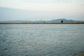 Part of the delta of river Evros, Greece, with many pink flaming Royalty Free Stock Photo