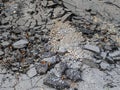 part of the destroyed pedestrian road. Cracked asphalt Royalty Free Stock Photo