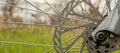 Part of the disc brake and spokes of a mountain bike on a blurred background of green grass of a light sky Royalty Free Stock Photo