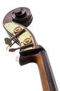 Part of a double bass, musical instrument of the violin family solated on a white background